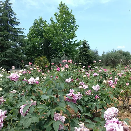 Country house Beautiful With A Rose Garden Oikhalia (Messinia)