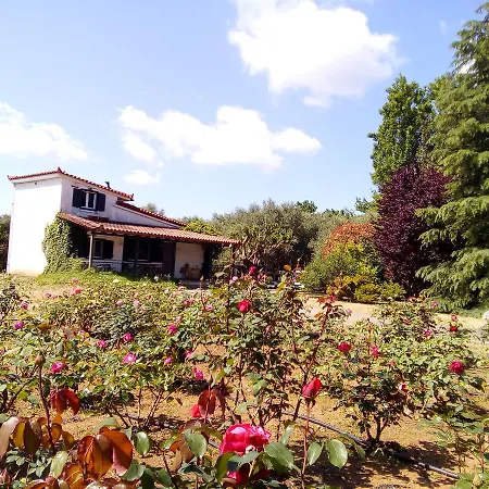 Country house Beautiful With A Rose Garden *