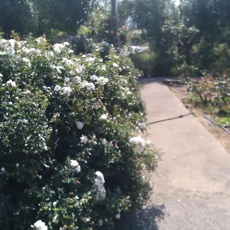 Beautiful With A Rose Garden Country house *